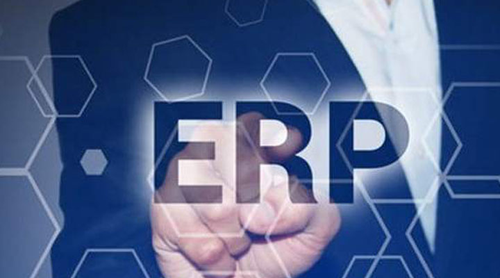 ERP系统的主要特性是什么？